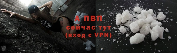 ешки Белокуриха