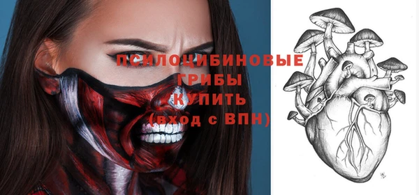 ешки Белокуриха