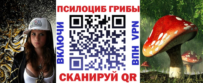 omg ONION  Далматово  это как зайти  Псилоцибиновые грибы MAGIC MUSHROOMS 